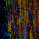 Illustration for article titled Incredible microscopic images from Nikons Small World Photomicrography Competition